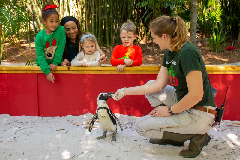 Christmas in the Wild 5 Family with a penguin and member of the animal care team